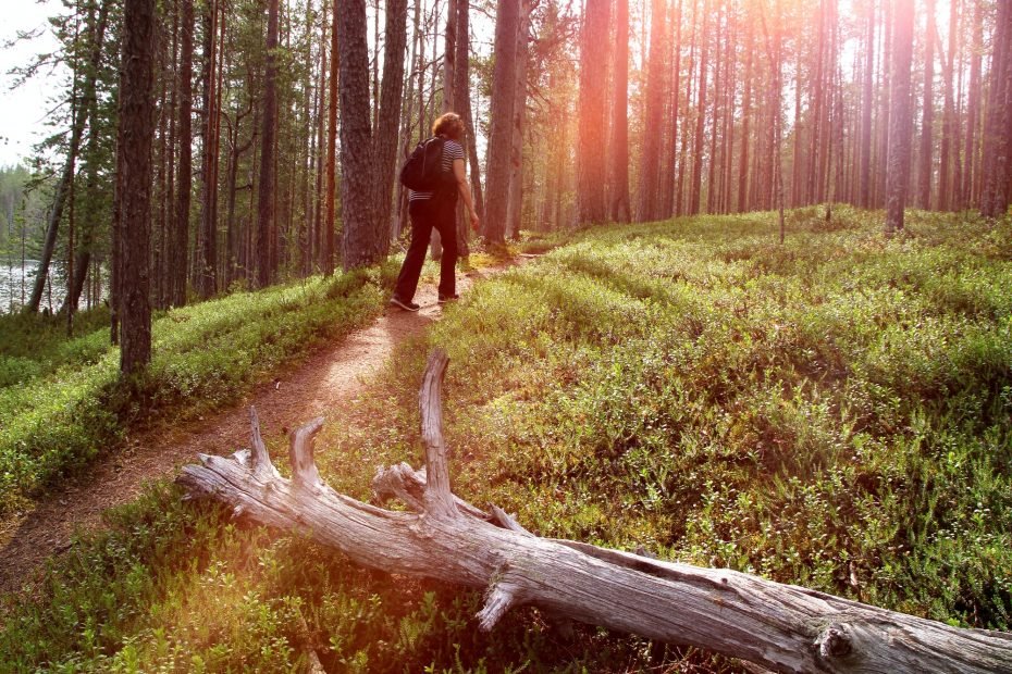 retkeilijä metsäpolulla